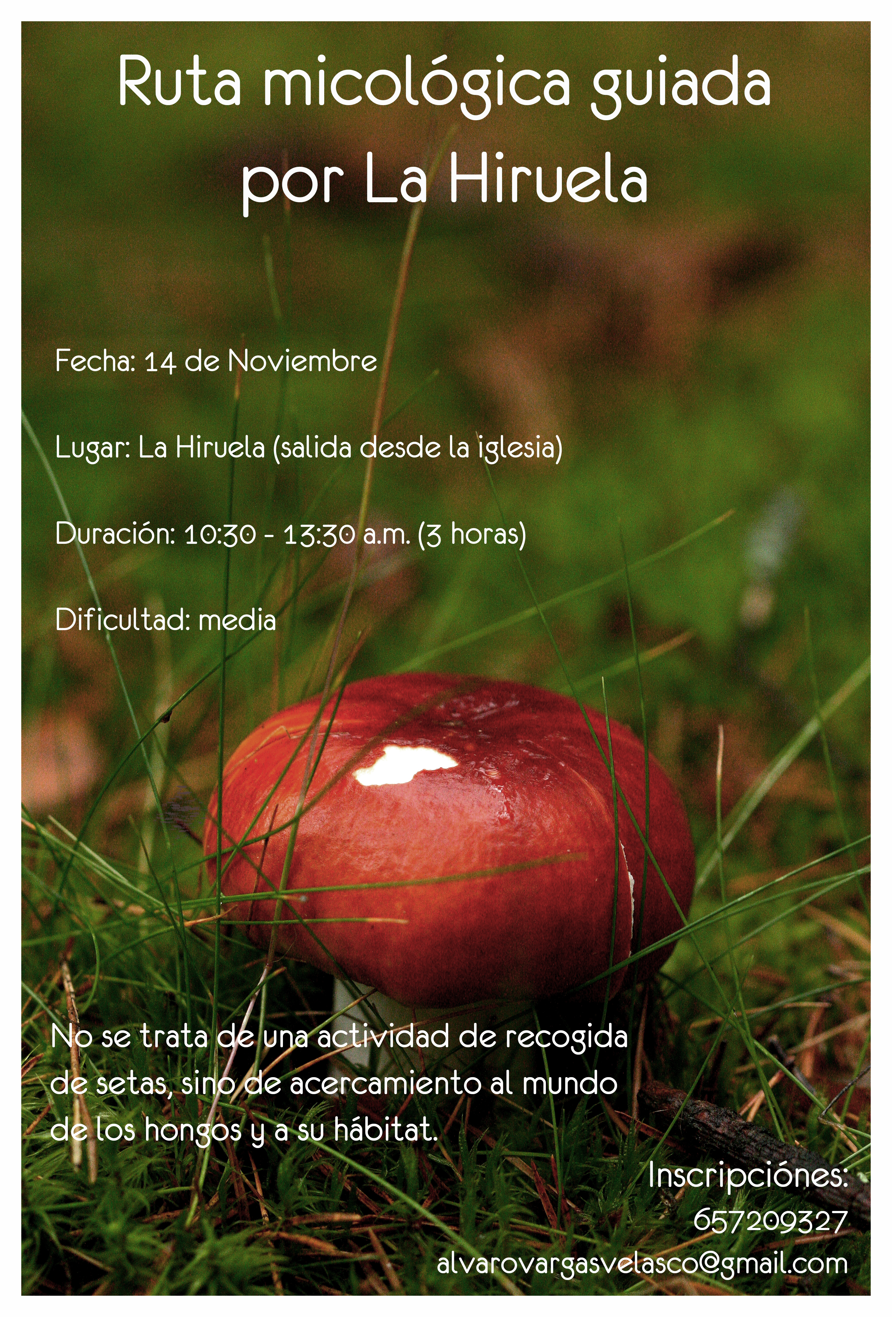 cartel-ruta
