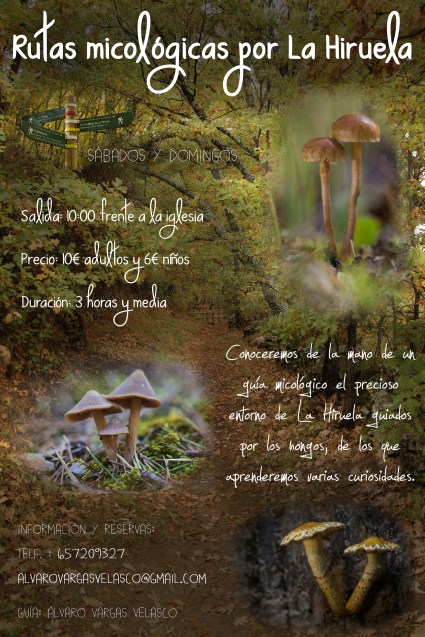 cartel_rutas_hiruela_2016_avv_i