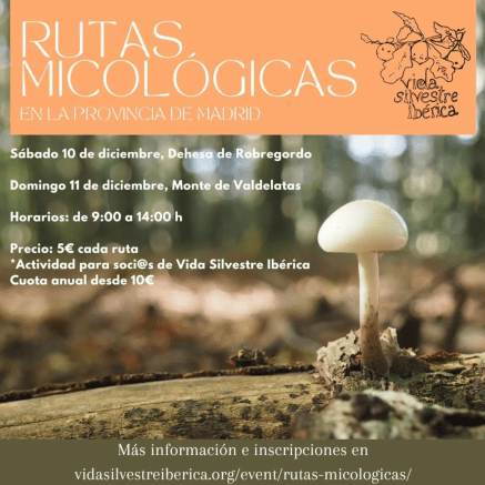 Captura de Pantalla 2022-11-22 a las 22.03.38